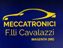 Meccatronici f.lli cavalazzi snc di massimo e carlo mario cavalazzi - Elettrauto,Officine meccaniche - Magenta (Milano)