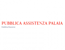 Associazione di pubblica assistenza-comune di palaia-onlus - Associazioni di volontariato e di solidarietà,Associazioni ed istituti di previdenza ed assistenza - Palaia (Pisa)