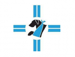 Veterinario sorichetti - Veterinari - Roma (Roma)