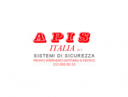 Apis italia srl - Impianti di videosorveglianza - Roma (Roma)