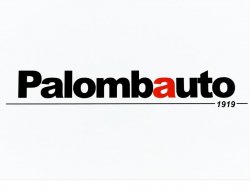 Palomba auto - Automobili - commercio - Perugia (Perugia)