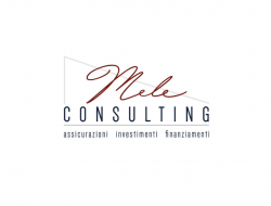 Mele consulting - Assicurazioni - Macomer (Nuoro)