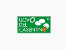 Uovo del casentino azienda agricola le pescine - Uova,Aziende agricole e zootecniche - Poppi (Arezzo)