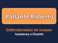 Pallante roberto elettrodomestici riparazione