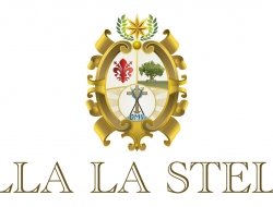 Villa la stella - casa per ferie - Alberghi - Firenze (Firenze)